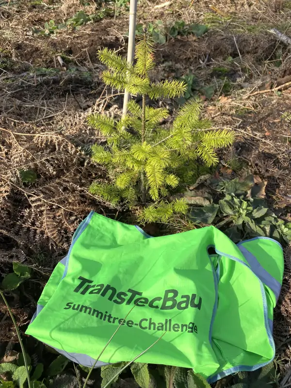 Freiwillige von TransTecBau und Die Recken pflanzen Bäume im Deister